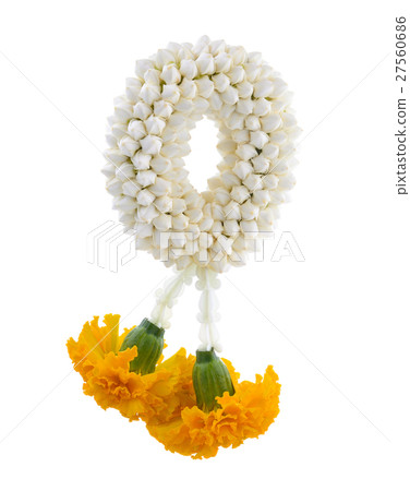 Malai The flower in Thai Tradition Style 27560686