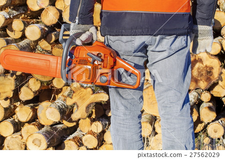Lumberjack with chainsaw near logs Lumberjack with chainsaw near logs 27562029