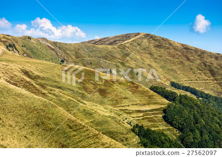 Carpathian Mountain Range in late summer 27562097