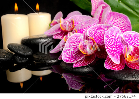 spa setting blooming twig stripped violet orchid spa setting blooming twig stripped violet orchid 27562174