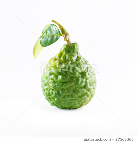 Green rough peel bergamot fruit or kaffir lime Green rough peel bergamot fruit or kaffir lime 27562363