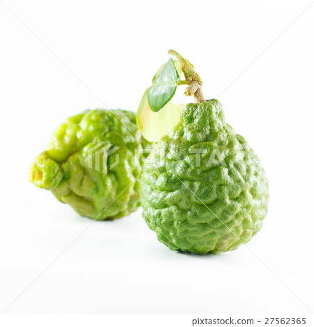 Green rough peel bergamot fruit or kaffir lime Green rough peel bergamot fruit or kaffir lime 27562365