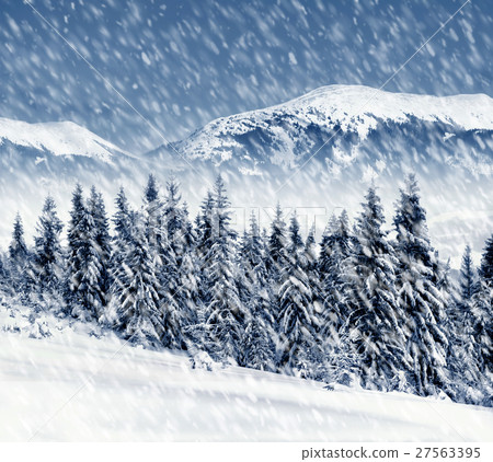 Winter landscape 27563395