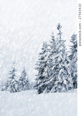 Winter landscape Winter landscape 27563410