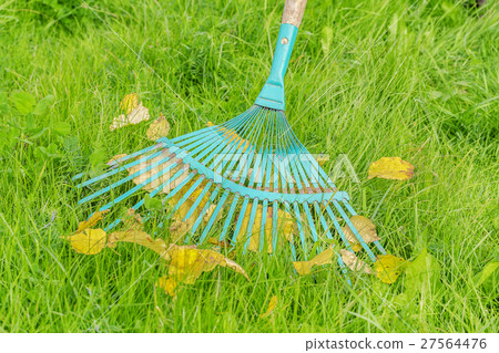Rake and fall leaves on green grass Rake and fall leaves on green grass 27564476