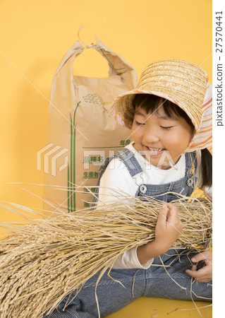 Rice farmer image 27570441
