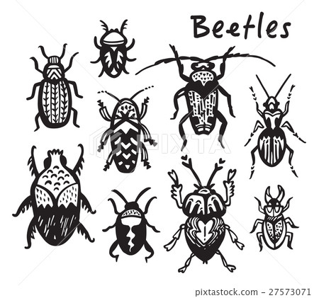 Set of hand drawn ink bugs, beetles 27573071