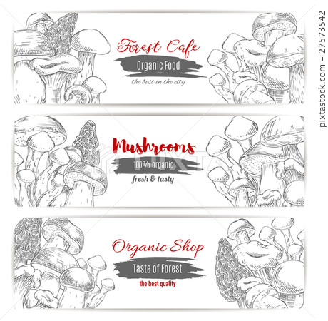 Mushrooms vector sketch organic shop banners 27573542
