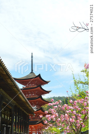 1000日曆（豐國神社）的“五重塔”（嚴島神社/宮島町，廿日市市，廣島縣） 27574021