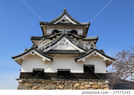Hikone castle in autumn 27575245