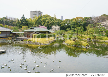 天鵝花園 - 名古屋市 27576483