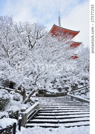 京都清水寺 27577293