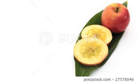 水果蘋果品種:青森縣生產的Takanori(Komitsu蘋果) 水果蘋果品種:青森縣生產的Takanori(Komitsu蘋果) 27578046