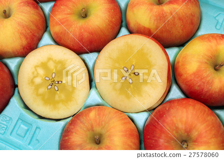Fruit apple variety: Takanori produced in Aomori Prefecture (Komitsu apple) 27578060