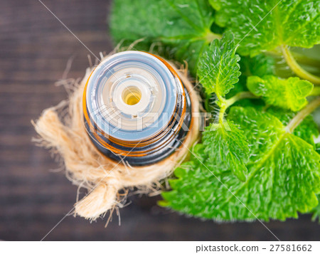melissa or mint essential oil melissa or mint essential oil 27581662