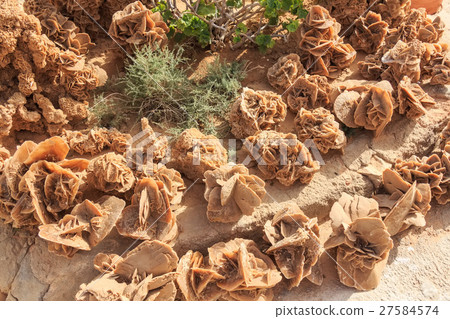 Stone desert roses 27584574