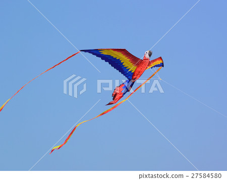 Kite fried New Year 13 Kite fried New Year 13 27584580
