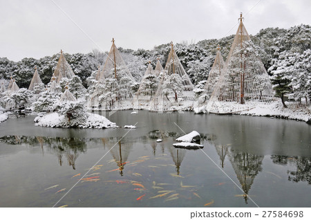 雪垂懸天鵝庭院 雪垂懸天鵝庭院 27584698