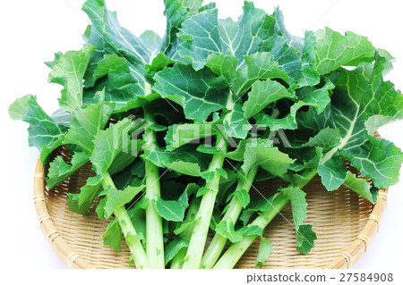 Kakina Kakina 27584908