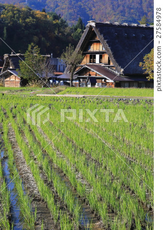 Shirakawago 27584978