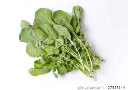 Ruccola simple white back photo Ruccola simple white back photo 27585144