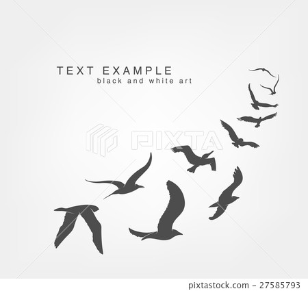 wedge of birds flying in sky 27585793