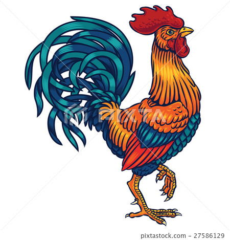 Illustration Of A Rooster - Stock Illustration [27586129] - PIXTA