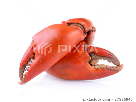 Boiled crab claws isolated on white background 27586945