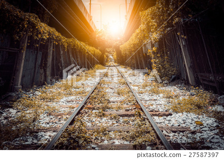 tree tunnel railway in city 27587397