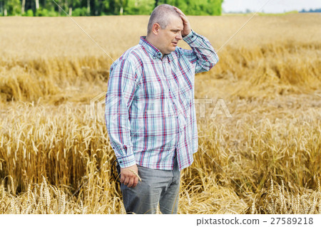 Worried farmer on destroyed cereal field  27589218