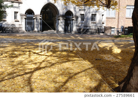 Ogre's shadow cast Ogre's shadow cast 27589661