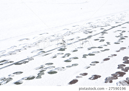 Snowy landscape footprints 27590196