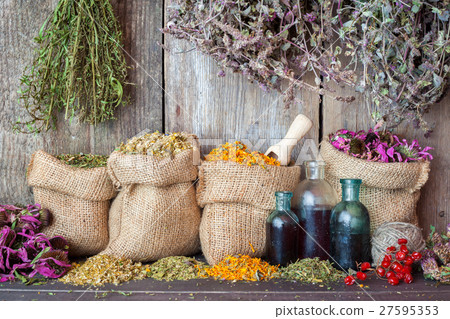 Healing herbs in bags and bottles of essential oil 27595353