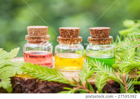 Bottles of essential oil on wooden stump in forest 27595392