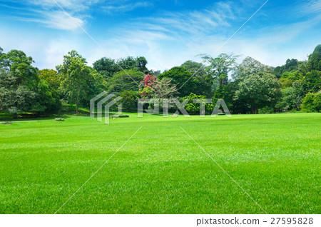 park, green meadow and blue sky park, green meadow and blue sky 27595828