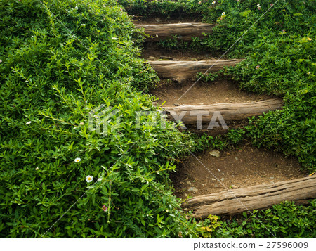nature stairs 27596009