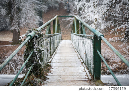 Iron bridge in the park leading over the river Iron bridge in the park leading over the river 27596159