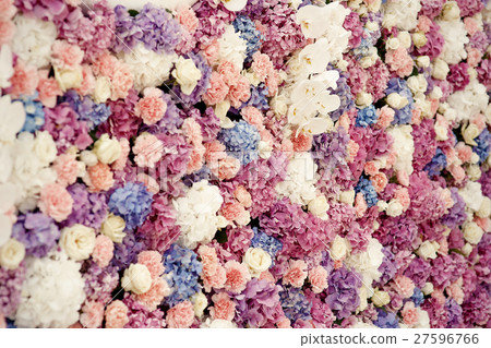 White roses and pink hydrangeas White roses and pink hydrangeas 27596766