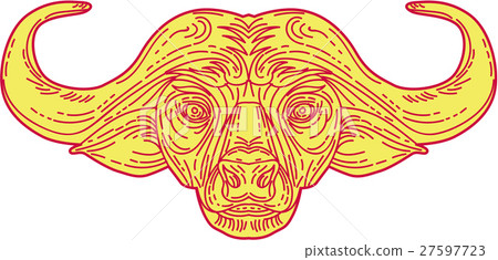 African Buffalo Head Mono Line 27597723