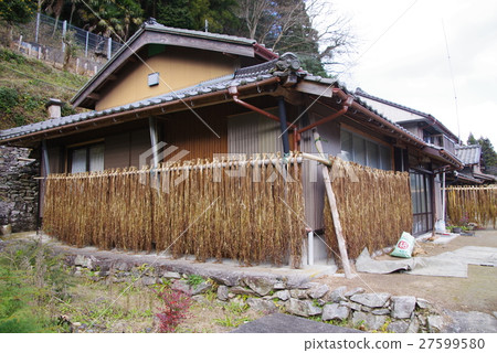 Plat's of bills Plat's of bills 27599580