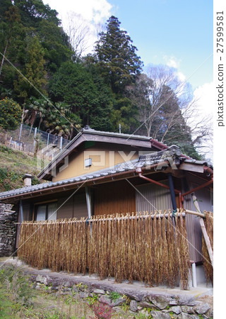 Plat's of bills 27599581