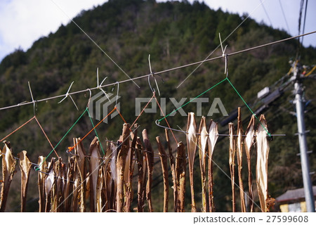 法案的平台 27599608