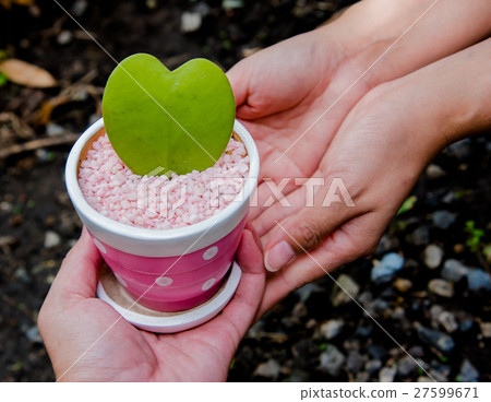 Valentines day and Sweetest day, love concept  27599671