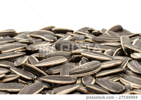 向日葵種子：向日葵種子 27599994