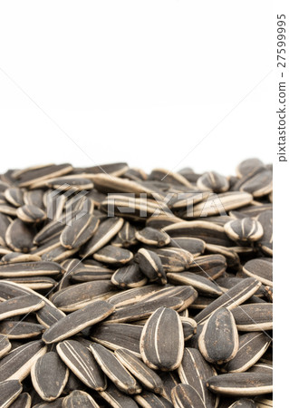 向日葵種子：向日葵種子 27599995