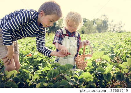 Cultivate Garden Nature Seasonal Growth Concept Cultivate Garden Nature Seasonal Growth Concept 27601949