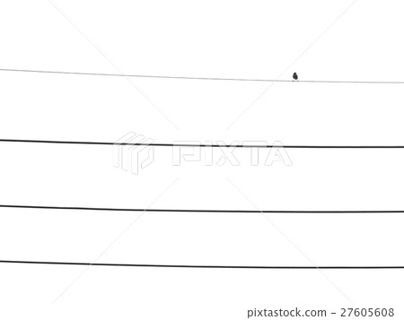 Abstract minimal black and white picture of bird Abstract minimal black and white picture of bird 27605608