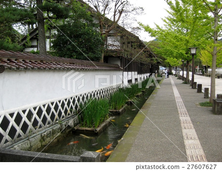 The early autumn Tsuwano Sanin in Kyoto The early autumn Tsuwano Sanin in Kyoto 27607627