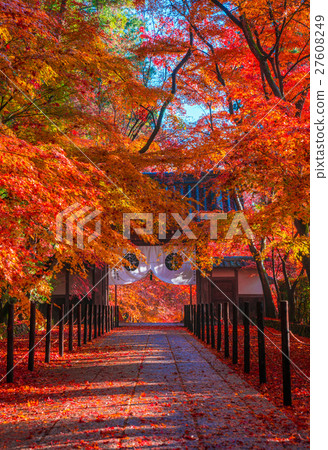 京都Komyoji秋葉 27608249