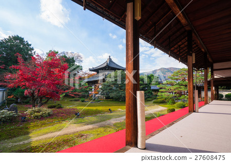 Autumn leaves of Kyoto Kayoin 27608475